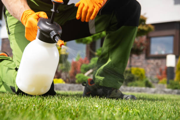Best Flea Control Services  in Centre Hall, PA
