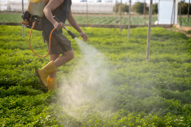 Best Affordable Pest Control Services  in Centre Hall, PA