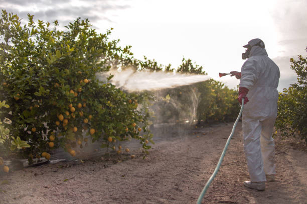 Best Pest Prevention Services  in Centre Hall, PA