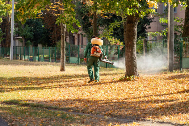 Best Termite Control Services  in Centre Hall, PA