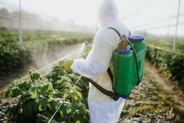 Best Ant Control Services  in Centre Hall, PA
